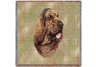 Bloodhound Square Throw Blanket