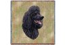 Black Poodle Square Throw Blanket