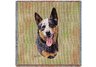 Australian Cattle Dog Square Throw Blanket