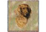 Brown Longhaired Dachs Square Throw Blanket