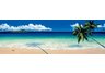 Tropical Horizons