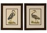 SMALL HERONS - S/2