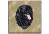 Portuguese Water Dog Square Throw Blanket