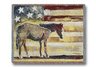 Horse Red/White/Blue Throw