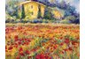 St. Remy Poppies