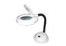 Magnifier Desk Lamp - White