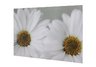 Daisy Print