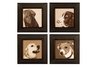 BEST FRIENDS I, II, III, IV - S/4