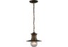 1 Light Outdoor Pendant In Hazlenut Bronze And Clear Seeded Glass