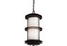 1 Light Outdoor Pendant In Clay Bronze