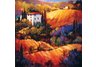 Evening Glow Tuscany