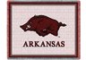 Univ of Arkansas Hog Mascot