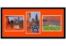Auburn Tigers Triple Shot Wall Art