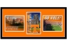Tennessee Volunteers Triple Shot Wall Hanging
