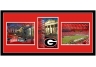 Georgia Bulldogs Triple Shot Wall Hanging