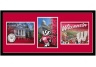 Wisconsin Badgers Triple Shot Wall Hanging