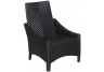 Carlton Low Arm Wicker Dining Chair