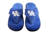 Kentucky Wildcats Comfy Flop