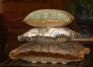 Robert Allen Pillow Stack
