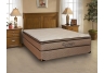 Capella Back Supporter Pillow Top Mattress