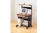 Computer Unit With Storage and Casters