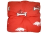 Arkansas Floor Pillow