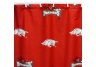 Arkansas Shower Curtain