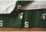 Michigan State Dust Ruffle