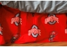 Ohio State Dust Ruffle