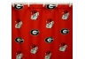 Georgia Shower Curtain