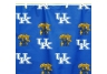Kentucky Shower Curtain
