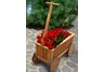 Wagon-planter