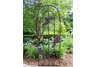 Grape Trellis