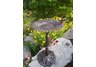 Cast Aluminum Sunflower Bird Bath