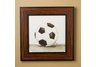 Soccer Ball