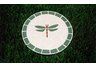 Stepping Stone Mosaic Dragonfly
