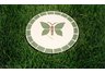 Stepping Stone Mosaic Butterfly