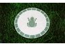 Stepping Stone Mosaic Frog