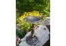 Rose Bird Bath