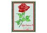 Alpha Omicron Pi Throw