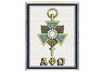 Alpha Phi Omega Pin Throw