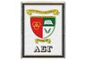 Lambda Sigma Gamma Throw