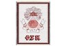 Phi Sigma Kappa Throw