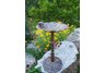 Lily Bird Bath with Frog