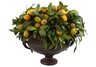 SUNSHINE FRUIT BOUQUET