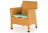 Mayan Dining Arm Chair