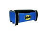 Batman Icon Toy Box