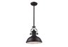 Chadwick 1-Light Pendant in Oiled Bronze