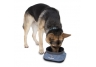 Dog Travel Bowl