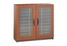30 Compartment Literature Organizer With Doors